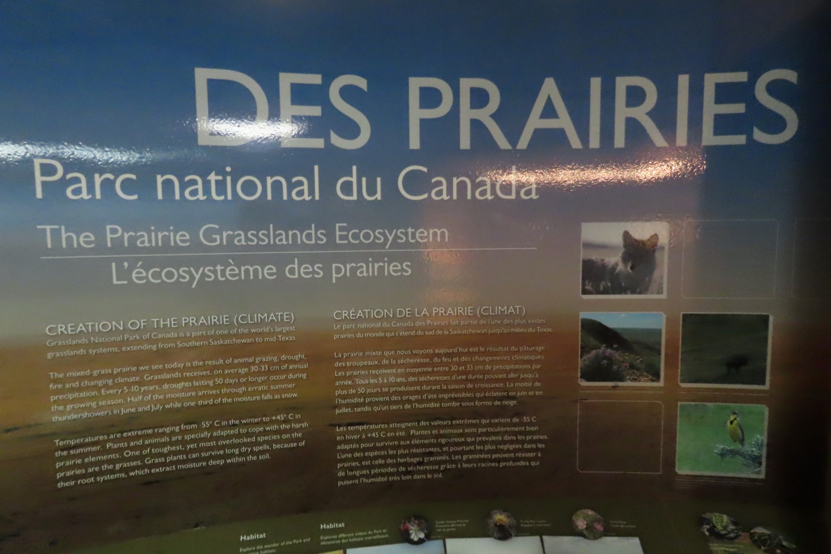 Grasslands National Park  5 of  8 (#8369)