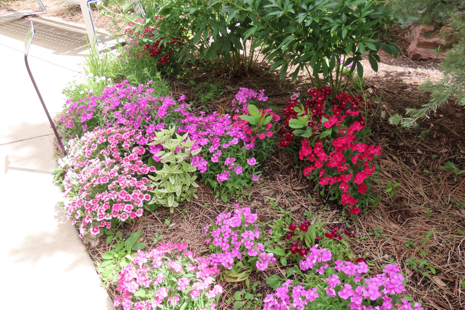 Botanical Gardens in Cheyenne Wyoming  6 of 37 (#8381)