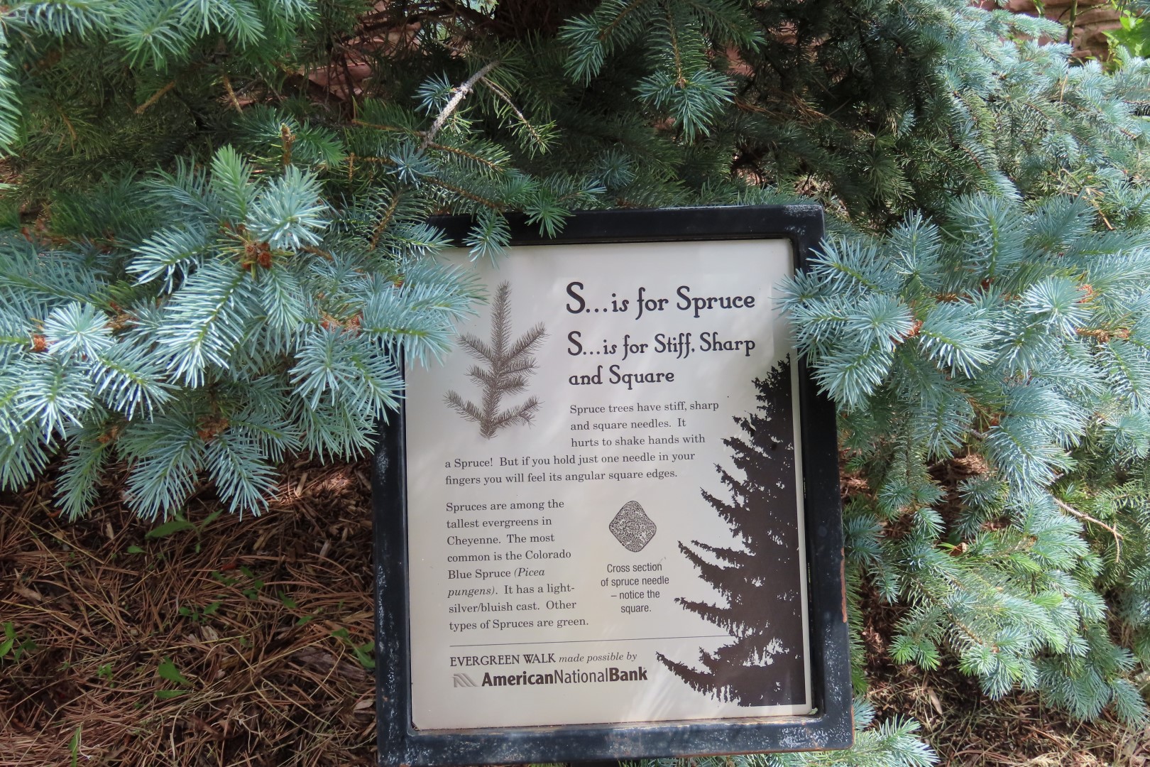 Botanical Gardens in Cheyenne Wyoming  7 of 37 (#8382)