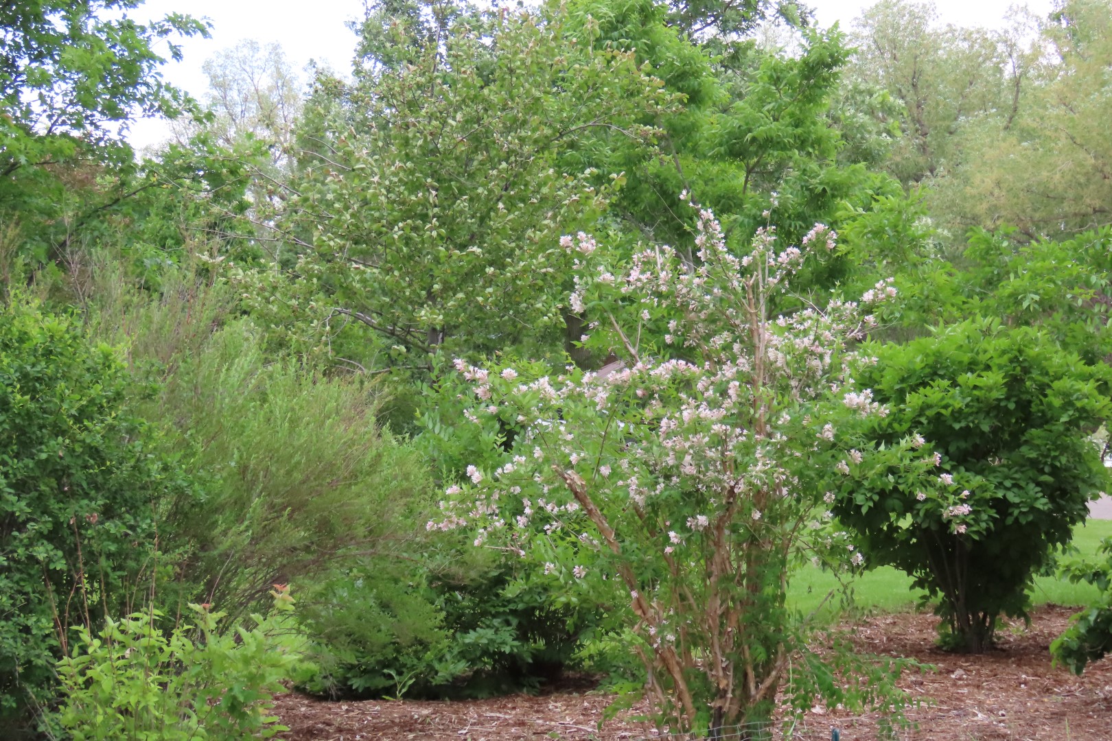 Botanical Gardens in Cheyenne Wyoming 21 of 37 (#8396)