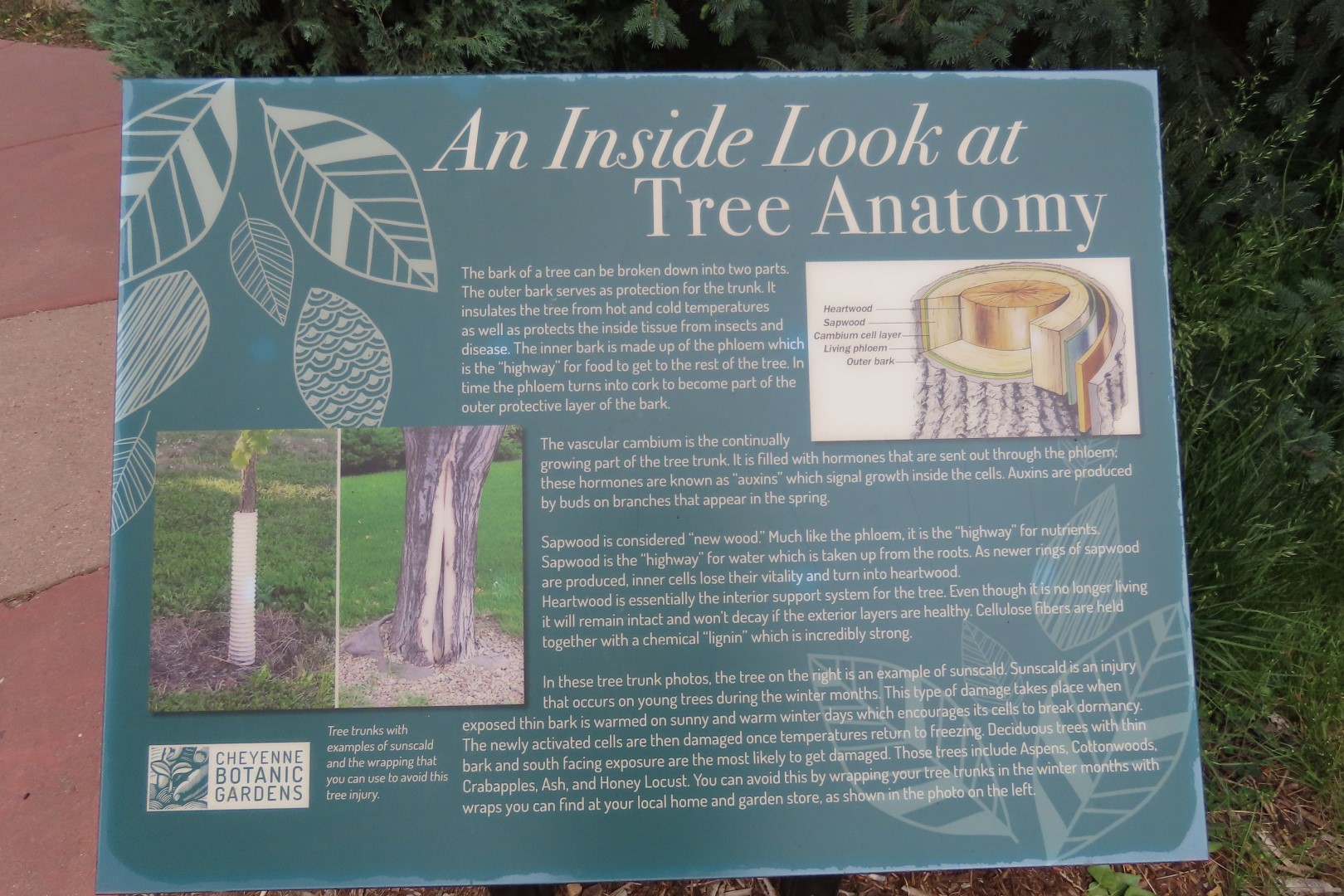 Botanical Gardens in Cheyenne Wyoming 27 of 37 (#8402)