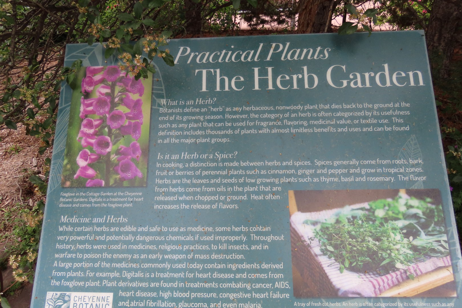 Botanical Gardens in Cheyenne Wyoming 29 of 37 (#8404)