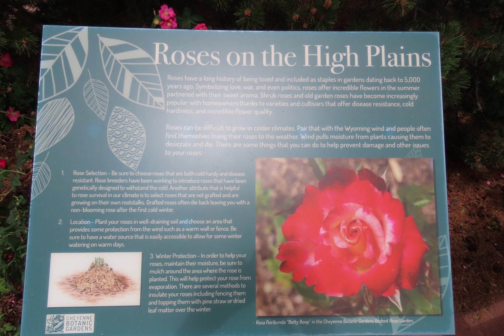 Botanical Gardens in Cheyenne Wyoming 31 of 37 (#8406)