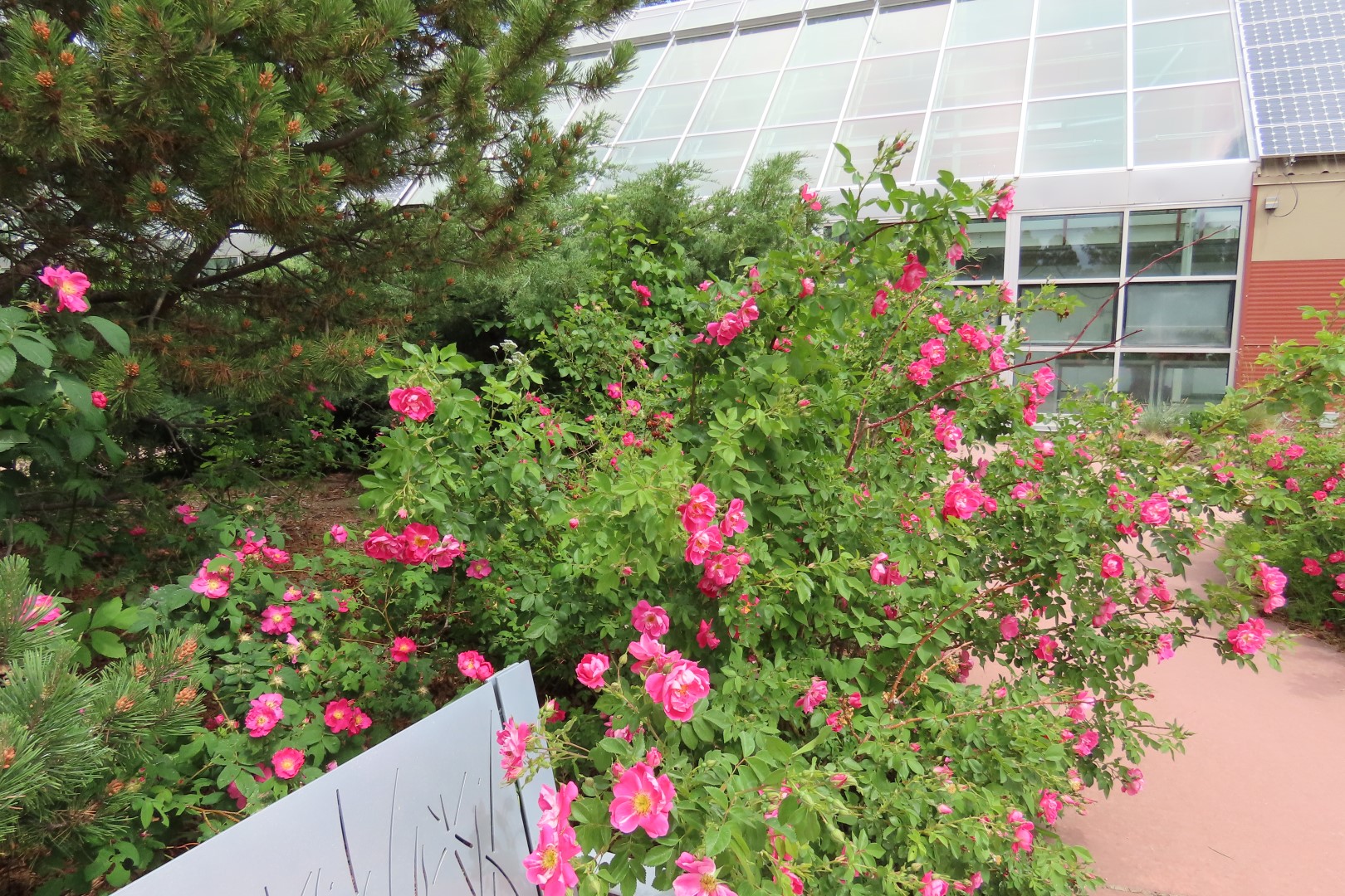 Botanical Gardens in Cheyenne Wyoming 32 of 37 (#8407)