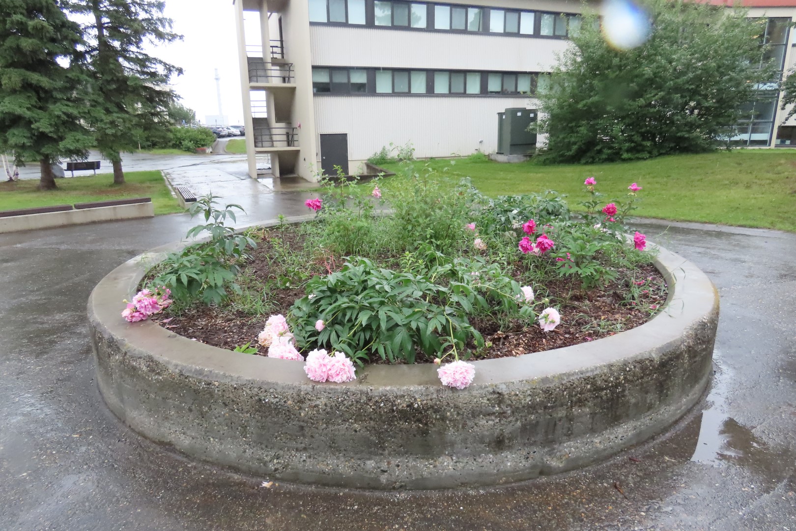 Campus of University of Alaska Fairbanks, Alaska 10 of 15 (#8429)