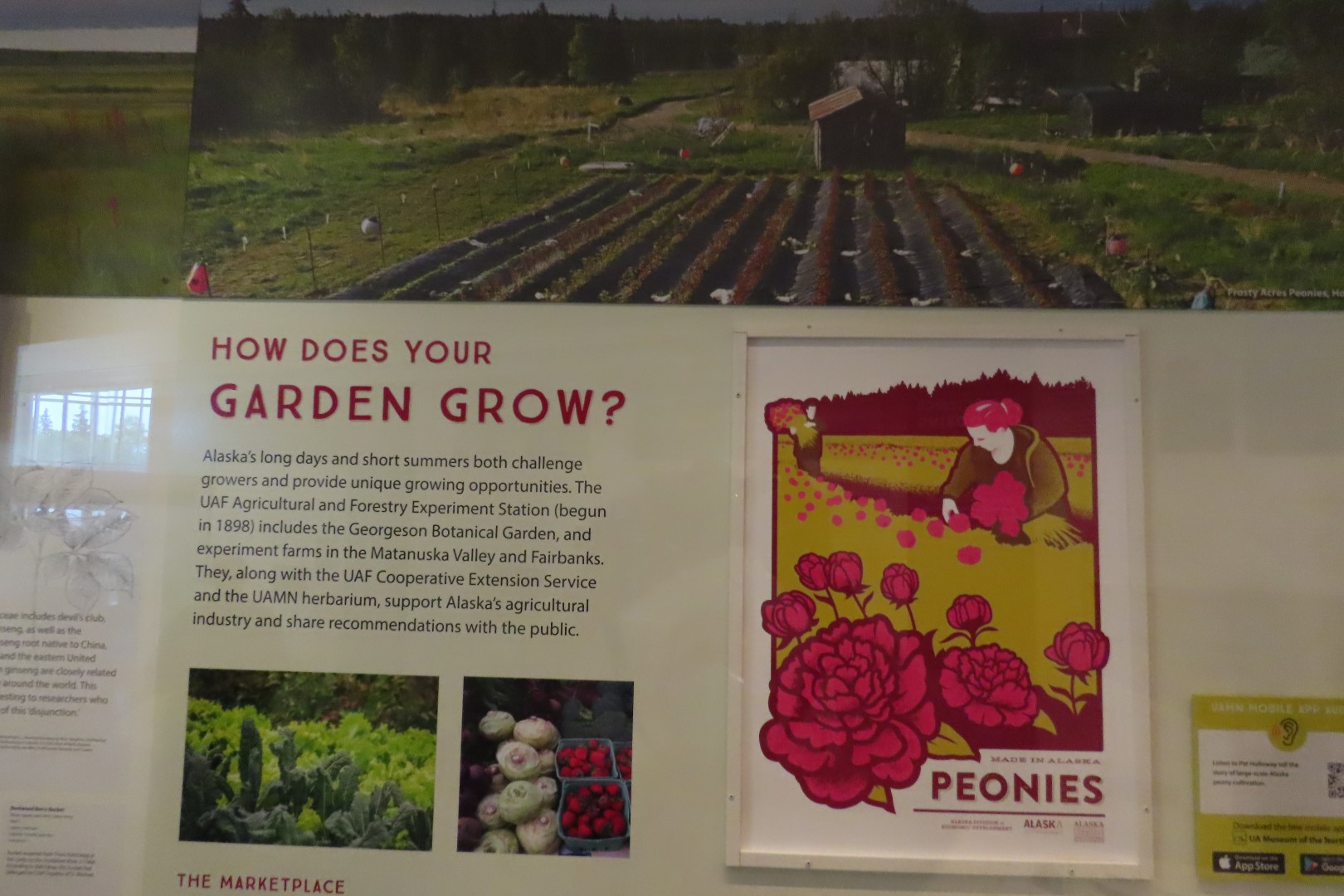 Museum of the North on Campus of University of Alaska Fairbanks, Alaska  6 of 100 (#8440)