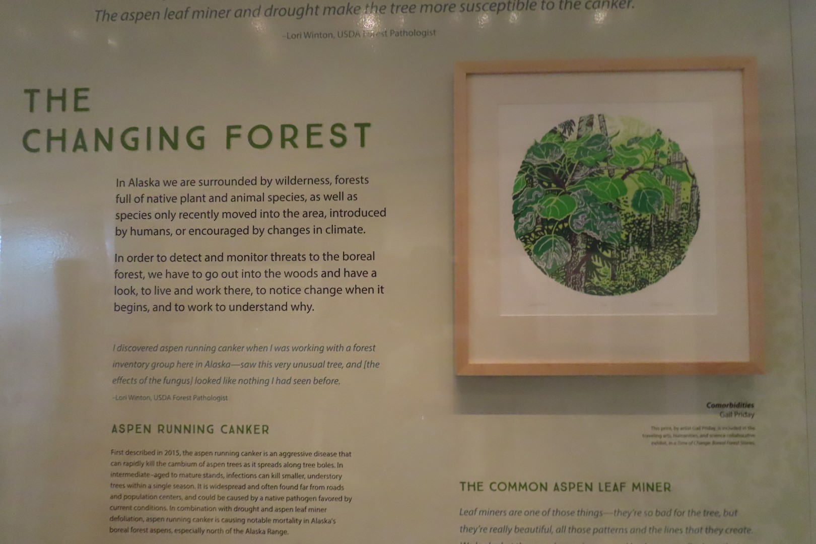 Museum of the North on Campus of University of Alaska Fairbanks, Alaska  3 of 100 (#8441)