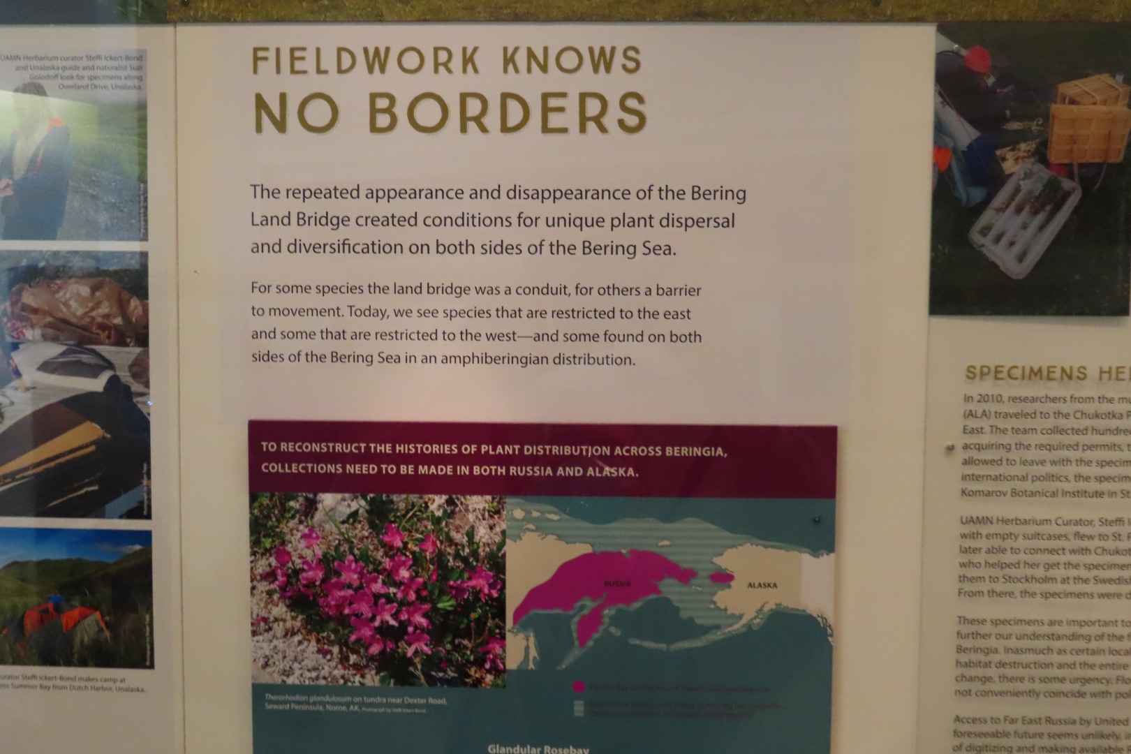 Museum of the North on Campus of University of Alaska Fairbanks, Alaska  9 of 100 (#8443)