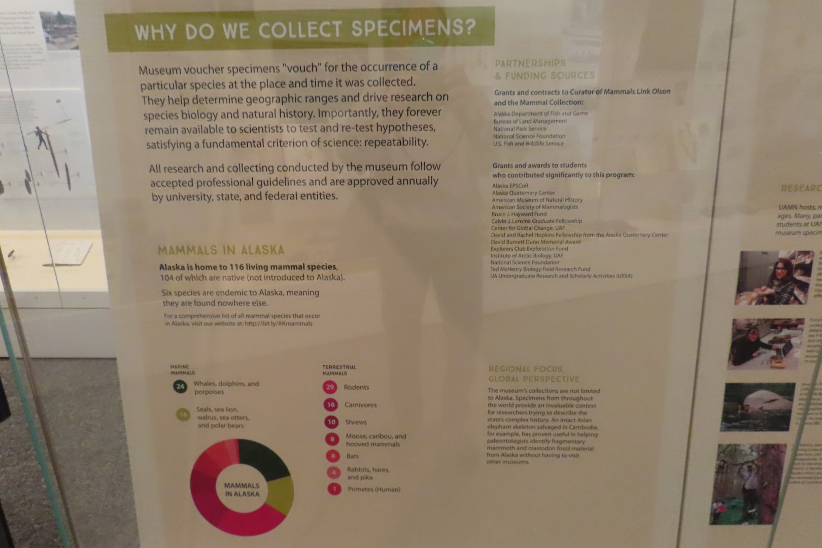 Museum of the North on Campus of University of Alaska Fairbanks, Alaska 10 of 100 (#8444)