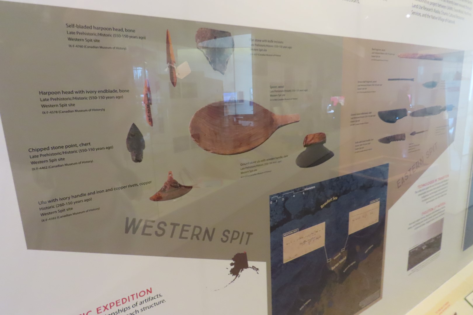 Museum of the North on Campus of University of Alaska Fairbanks, Alaska 12 of 100 (#8446)