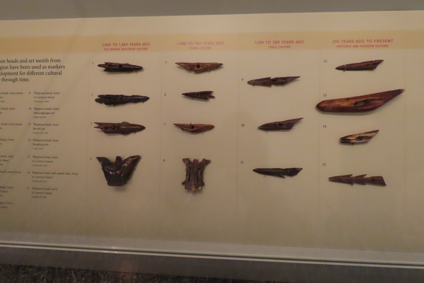 Museum of the North on Campus of University of Alaska Fairbanks, Alaska 13 of 100 (#8447)