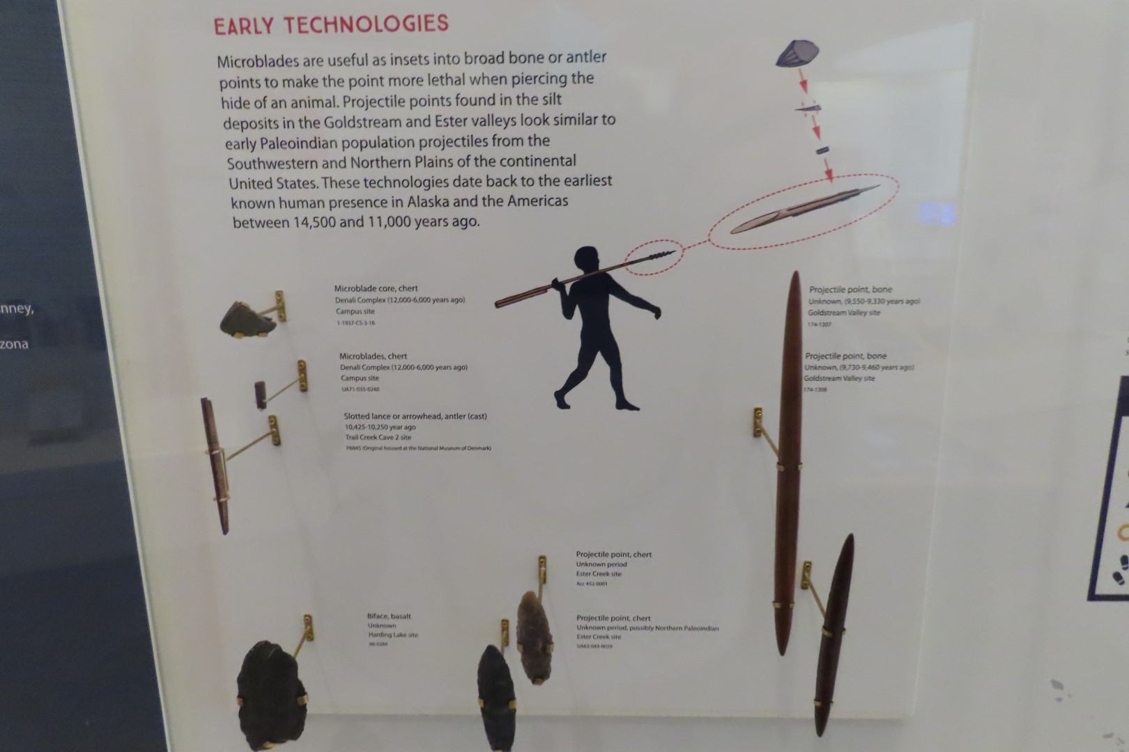 Museum of the North on Campus of University of Alaska Fairbanks, Alaska 15 of 100 (#8449)