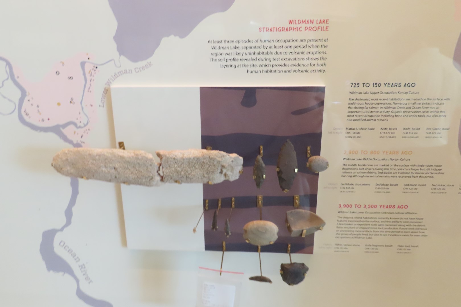 Museum of the North on Campus of University of Alaska Fairbanks, Alaska 19 of 100 (#8453)