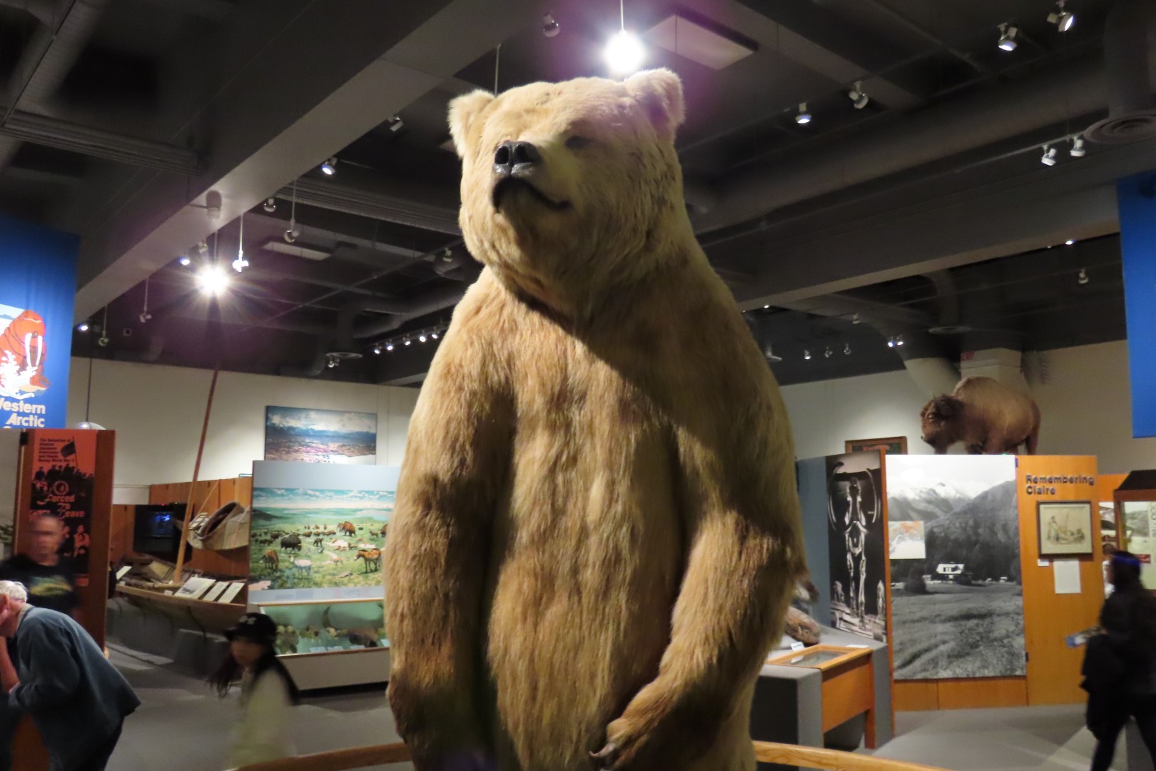 Museum of the North on Campus of University of Alaska Fairbanks, Alaska 21 of 100 (#8455)