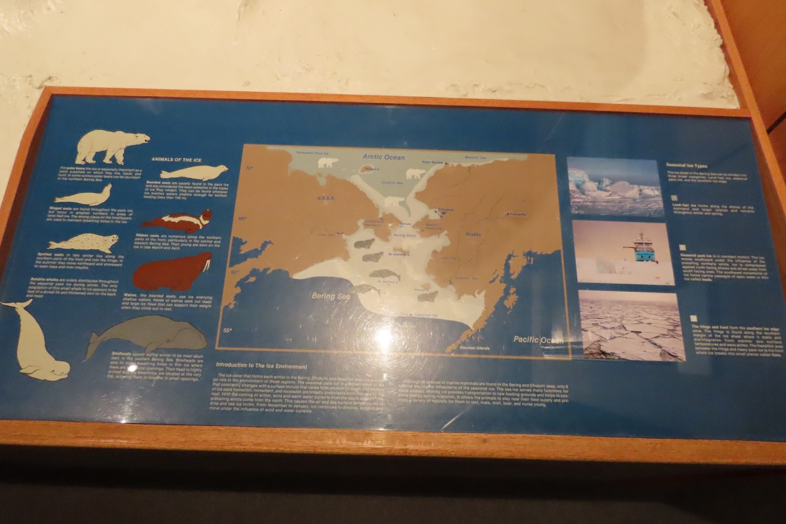 Museum of the North on Campus of University of Alaska Fairbanks, Alaska 35 of 100 (#8470)