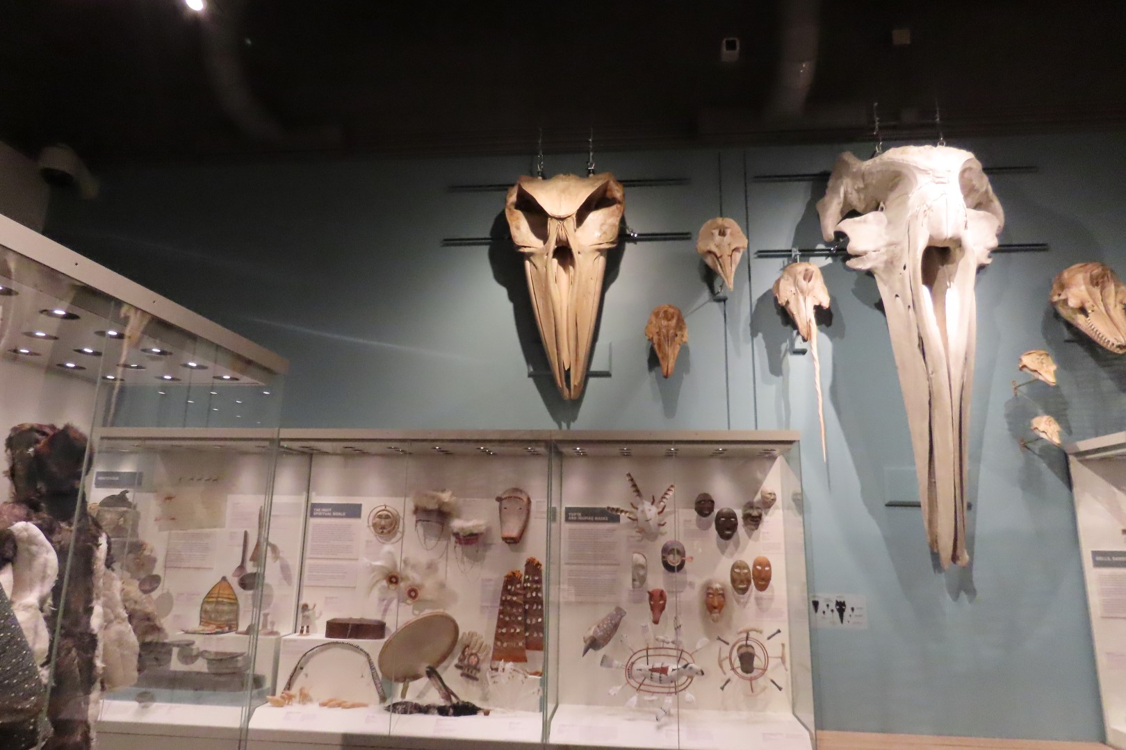 Museum of the North on Campus of University of Alaska Fairbanks, Alaska 36 of 100 (#8471)