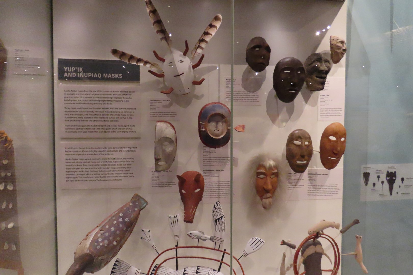 Museum of the North on Campus of University of Alaska Fairbanks, Alaska 38 of 100 (#8473)