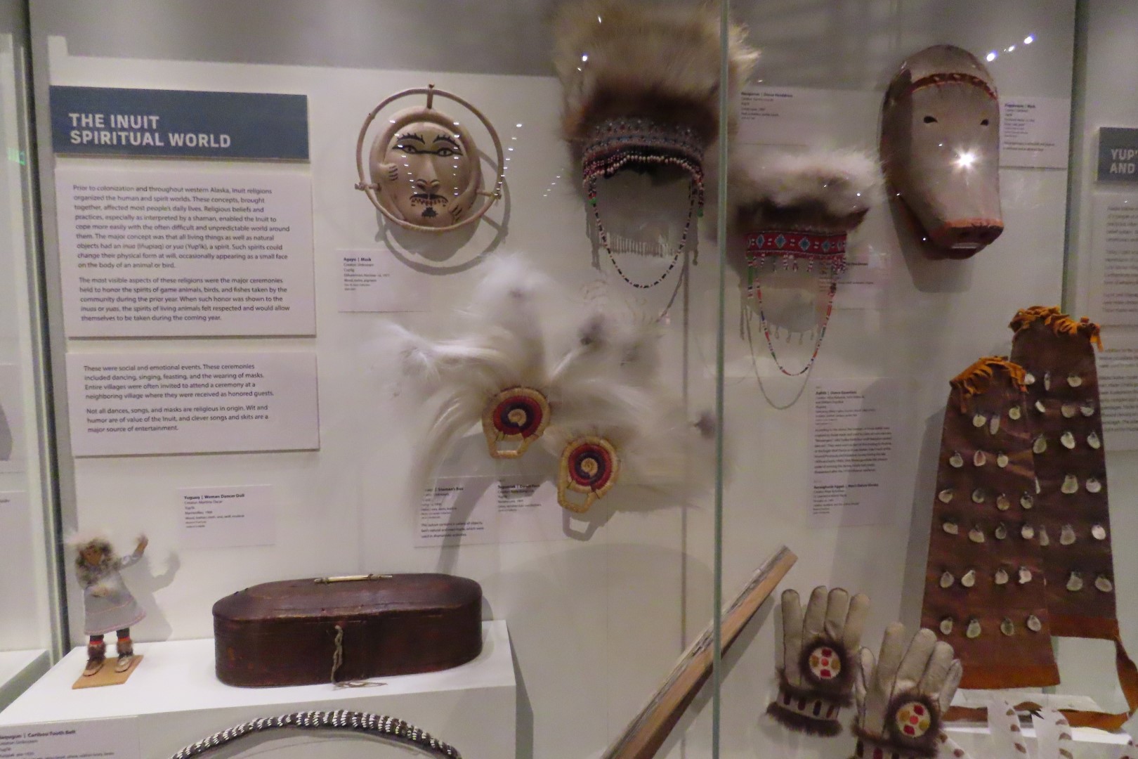 Museum of the North on Campus of University of Alaska Fairbanks, Alaska 39 of 100 (#8474)