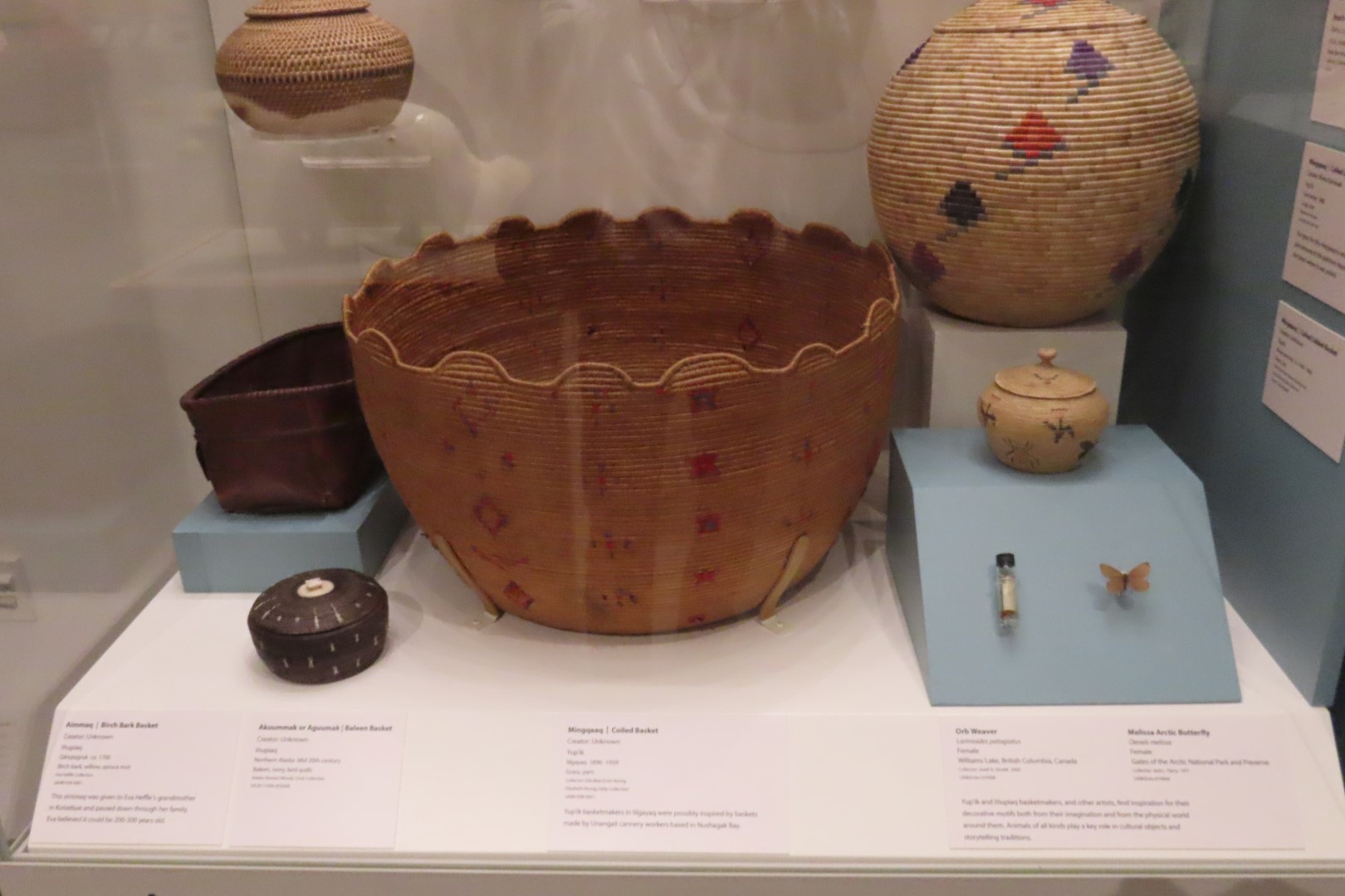 Museum of the North on Campus of University of Alaska Fairbanks, Alaska 42 of 100 (#8477)