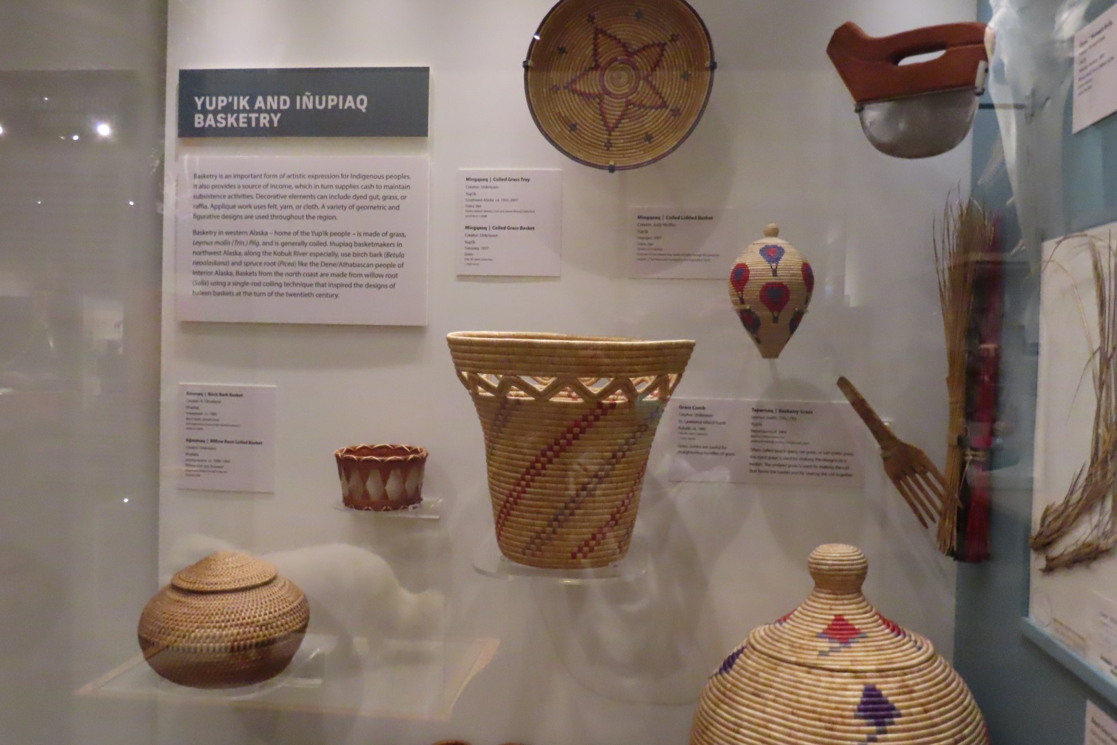 Museum of the North on Campus of University of Alaska Fairbanks, Alaska 43 of 100 (#8478)