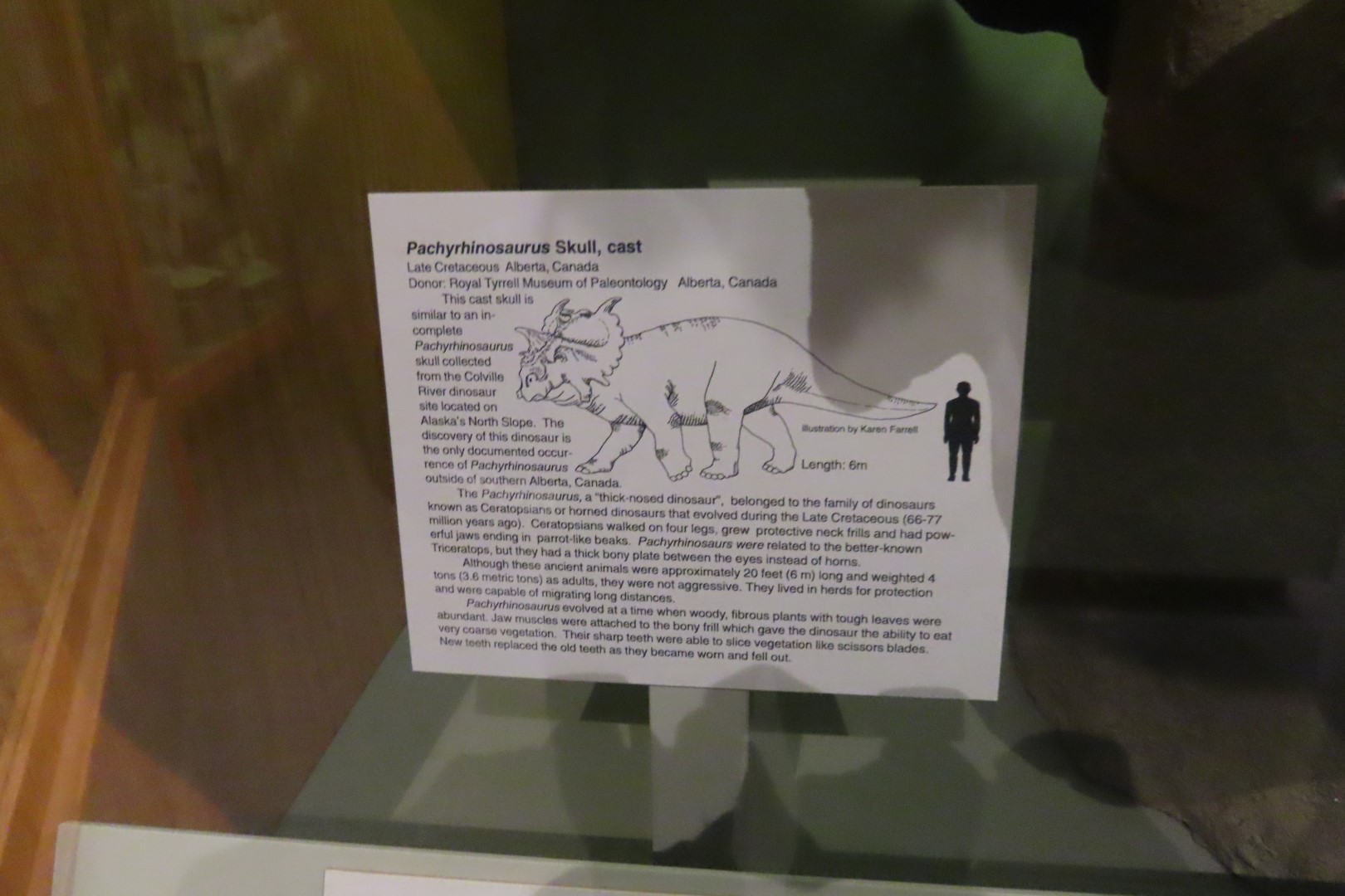 Museum of the North on Campus of University of Alaska Fairbanks, Alaska 49 of 100 (#8484)