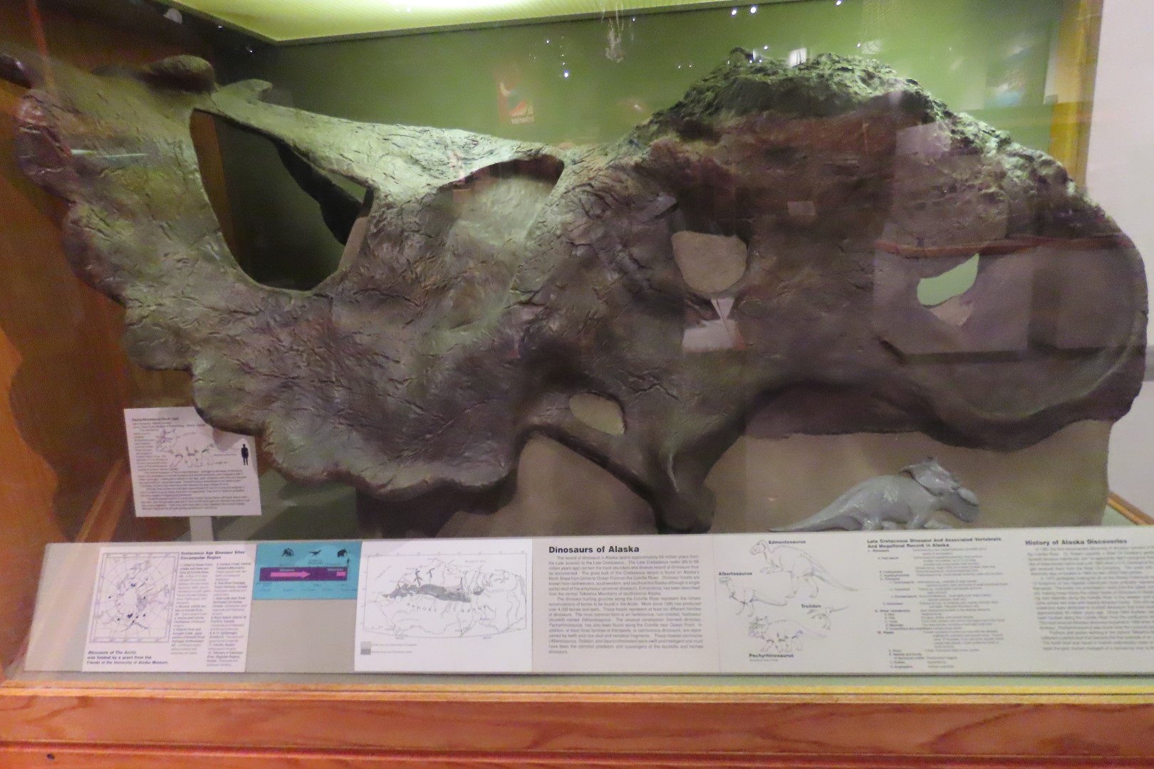 Museum of the North on Campus of University of Alaska Fairbanks, Alaska 50 of 100 (#8486)