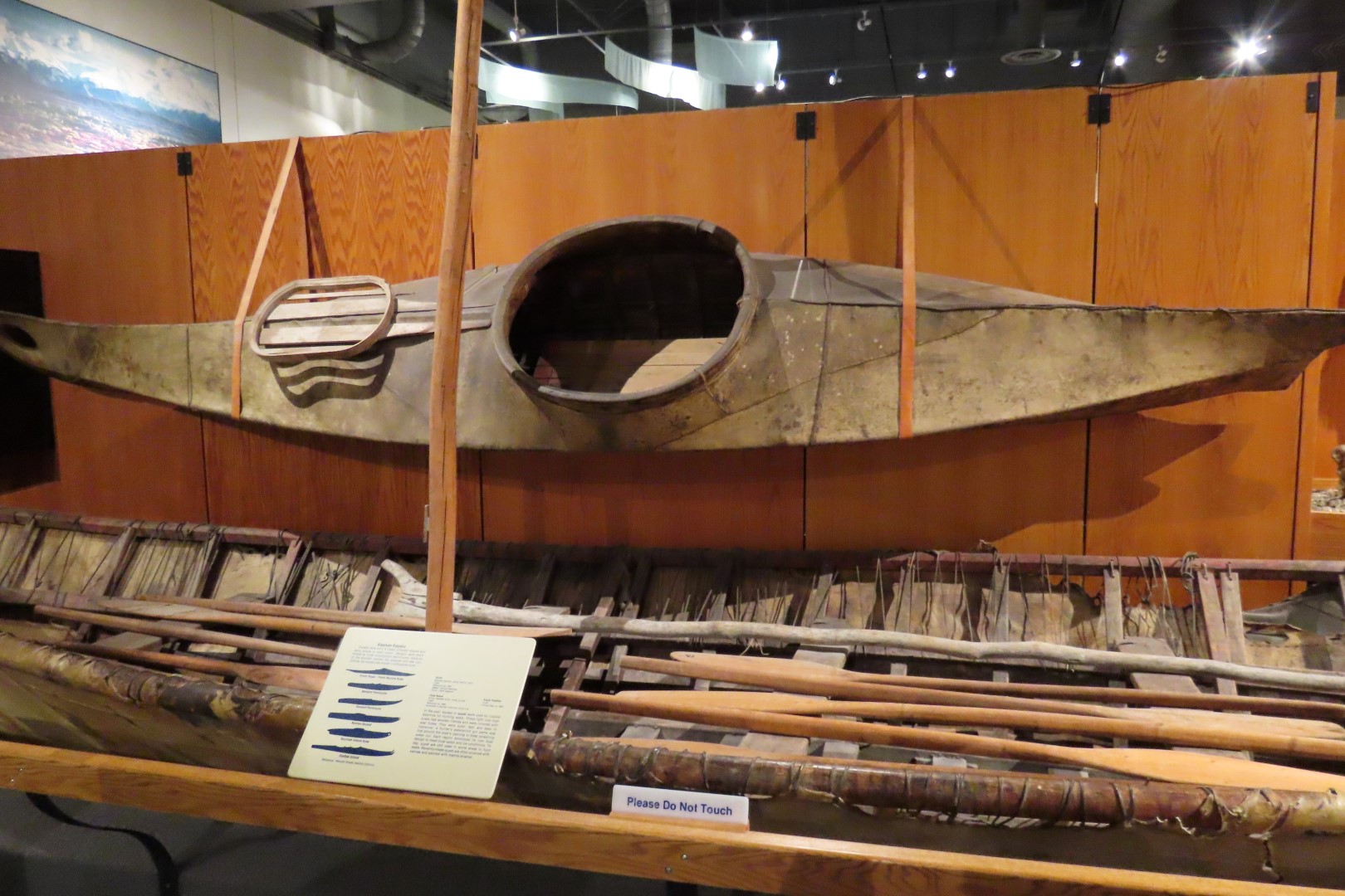 Museum of the North on Campus of University of Alaska Fairbanks, Alaska 52 of 100 (#8488)