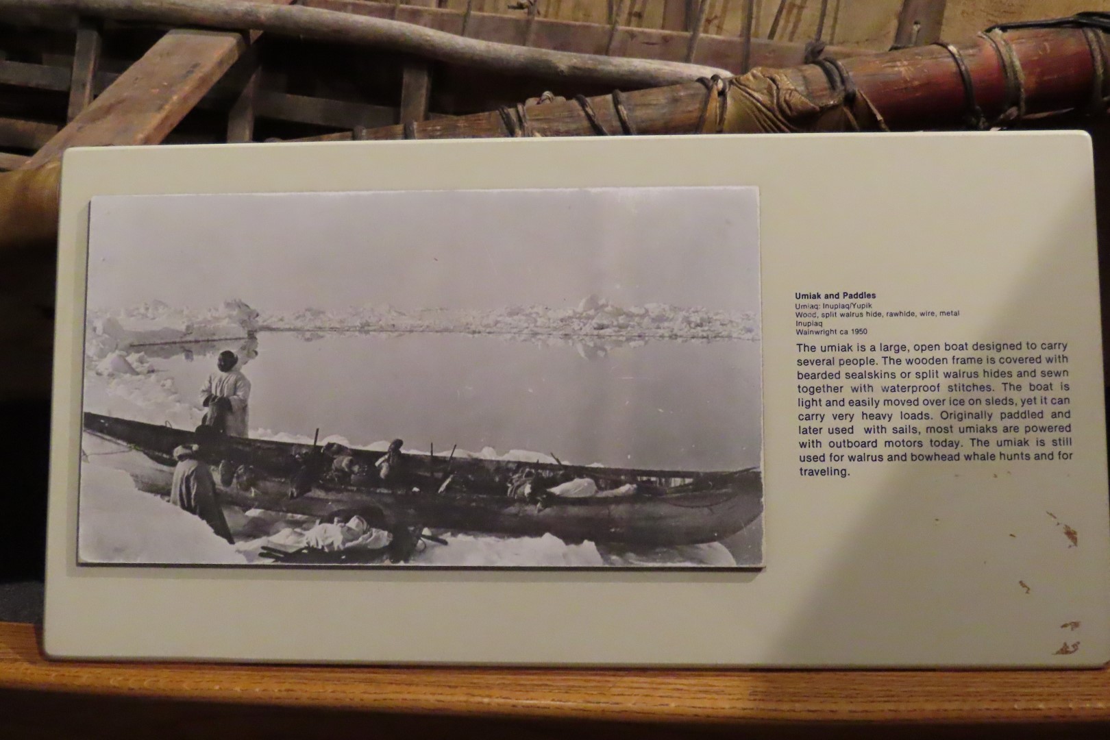 Museum of the North on Campus of University of Alaska Fairbanks, Alaska 54 of 100 (#8490)