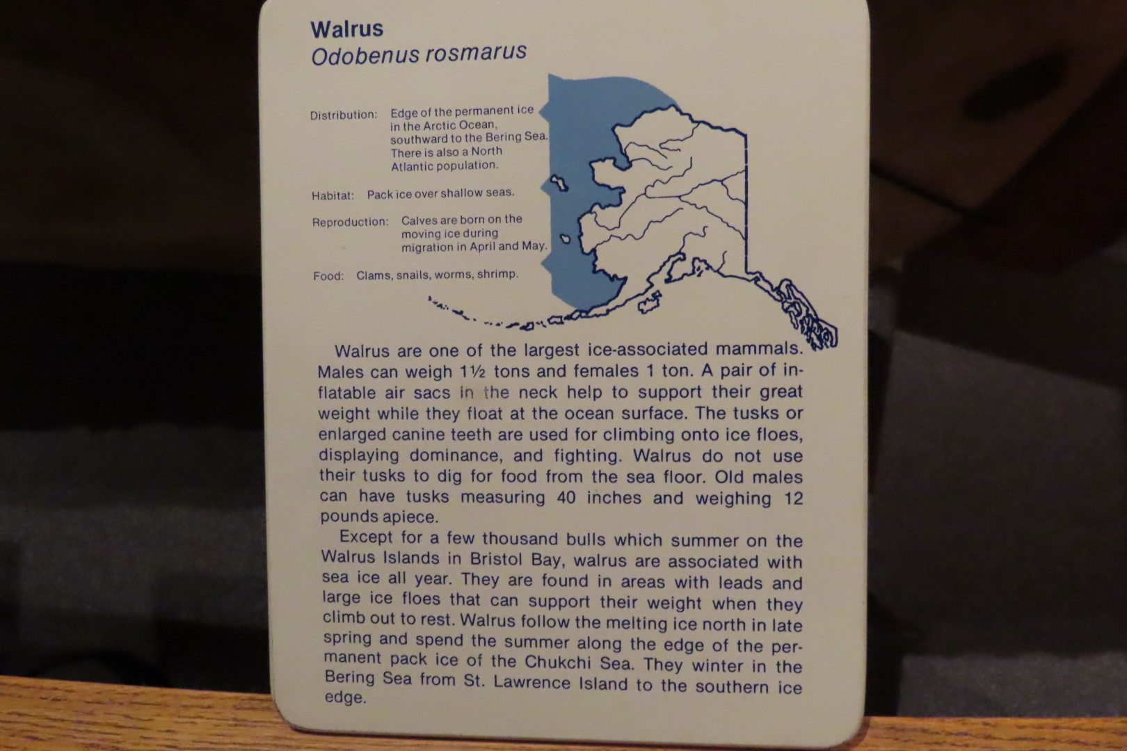 Museum of the North on Campus of University of Alaska Fairbanks, Alaska 56 of 100 (#8492)