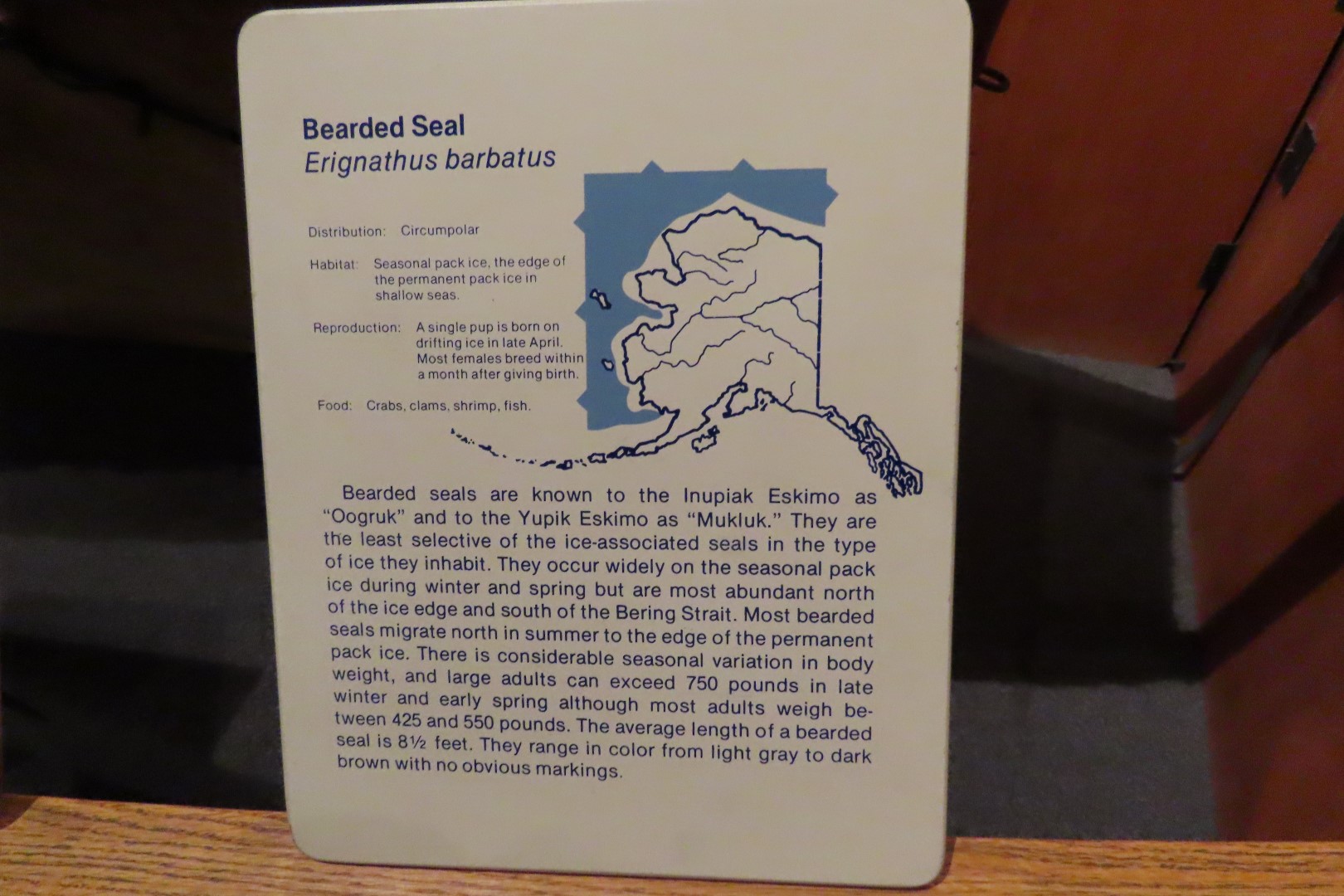 Museum of the North on Campus of University of Alaska Fairbanks, Alaska 57 of 100 (#8493)