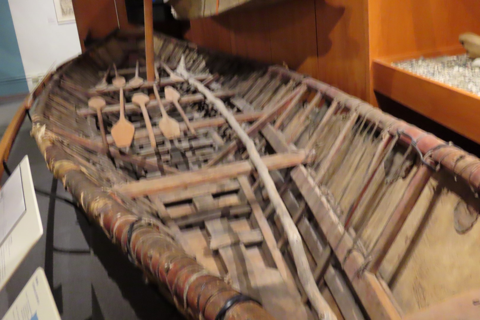 Museum of the North on Campus of University of Alaska Fairbanks, Alaska 58 of 100 (#8494)