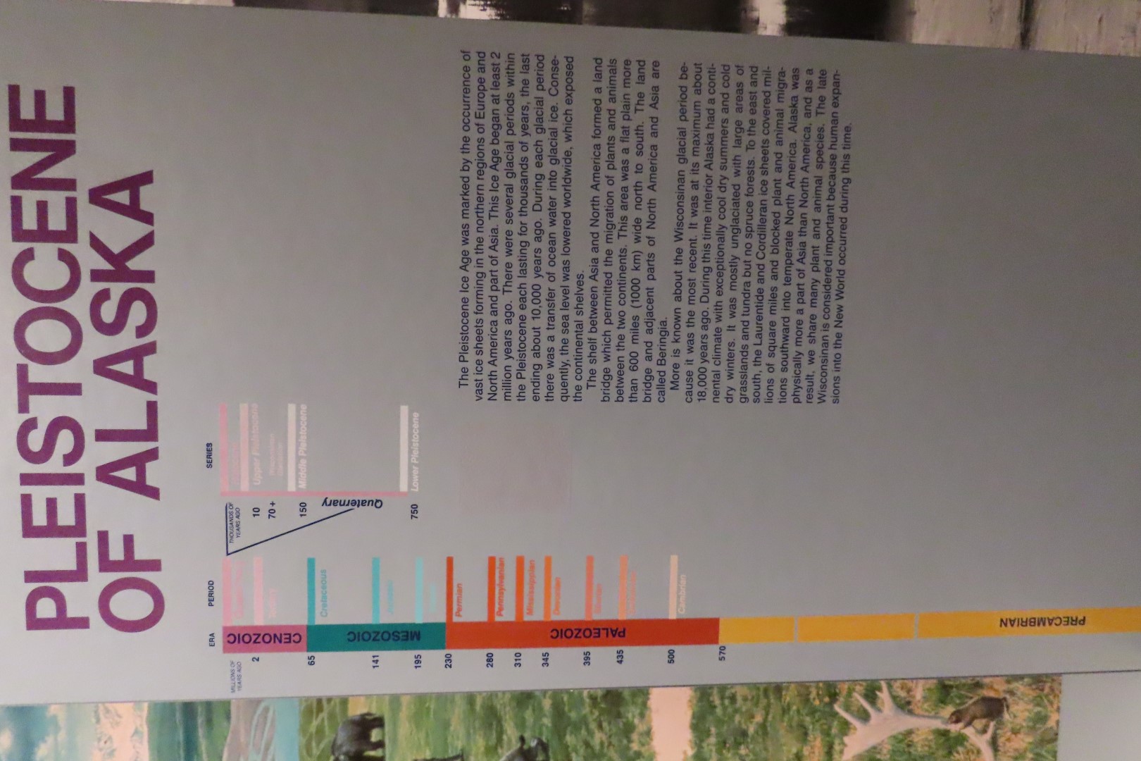 Museum of the North on Campus of University of Alaska Fairbanks, Alaska 60 of 100 (#8496)