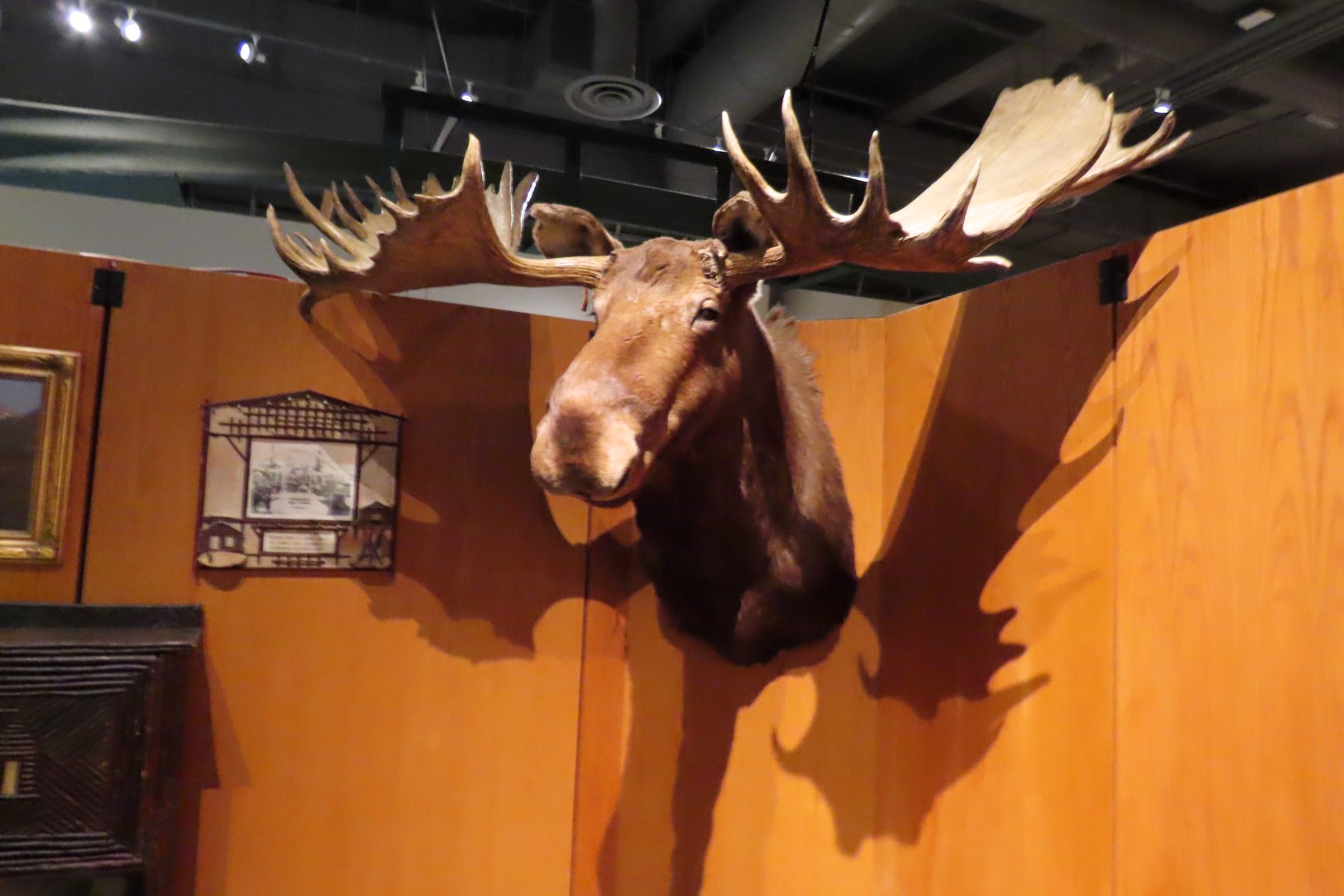 Museum of the North on Campus of University of Alaska Fairbanks, Alaska 61 of 100 (#8497)