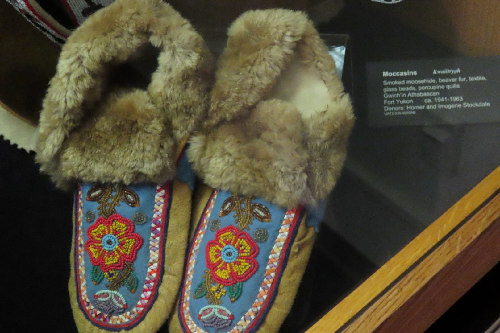 Museum of the North on Campus of University of Alaska Fairbanks, Alaska 63 of 100 (#8499)