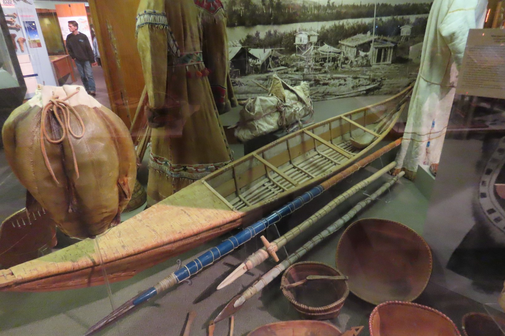 Museum of the North on Campus of University of Alaska Fairbanks, Alaska 66 of 100 (#8502)