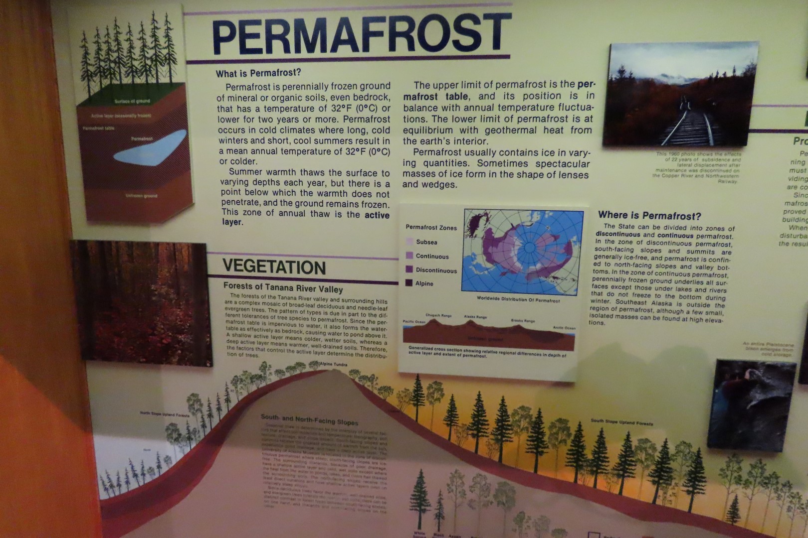 Museum of the North on Campus of University of Alaska Fairbanks, Alaska 68 of 100 (#8505)