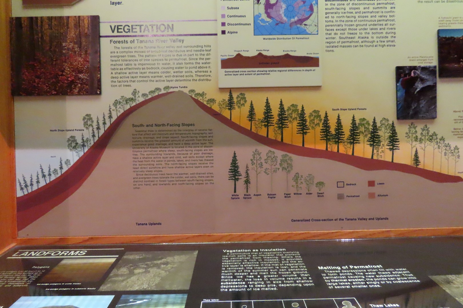 Museum of the North on Campus of University of Alaska Fairbanks, Alaska 69 of 100 (#8506)