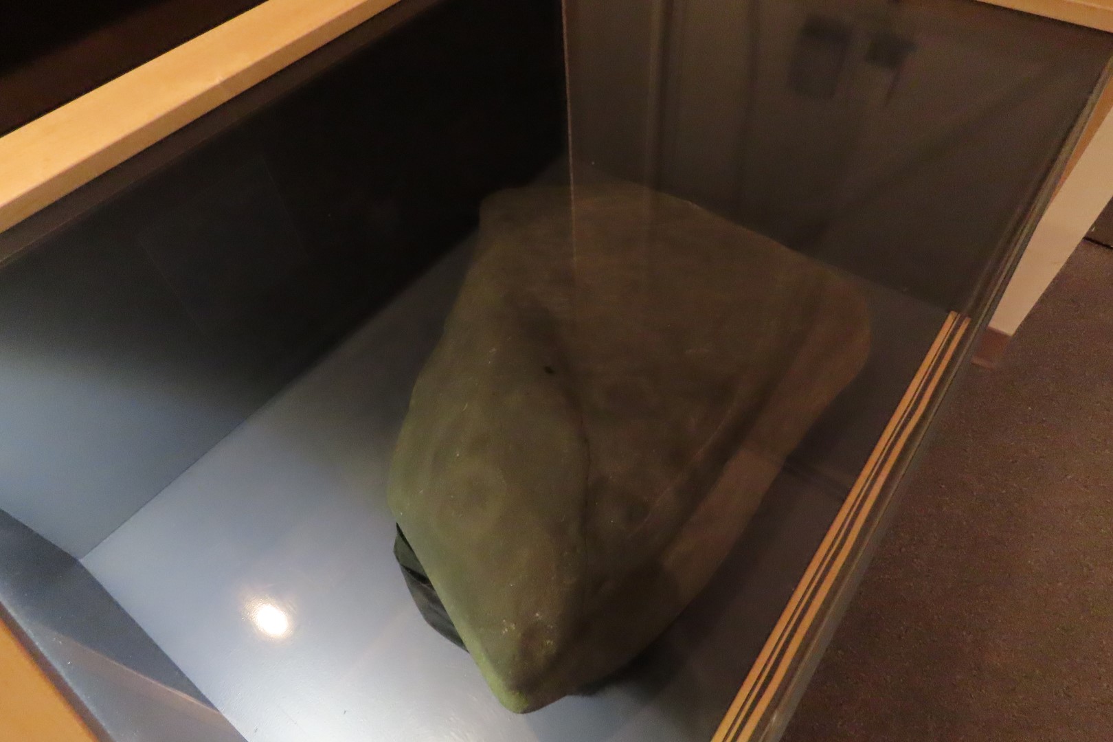 Museum of the North on Campus of University of Alaska Fairbanks, Alaska 75 of 100 (#8514)