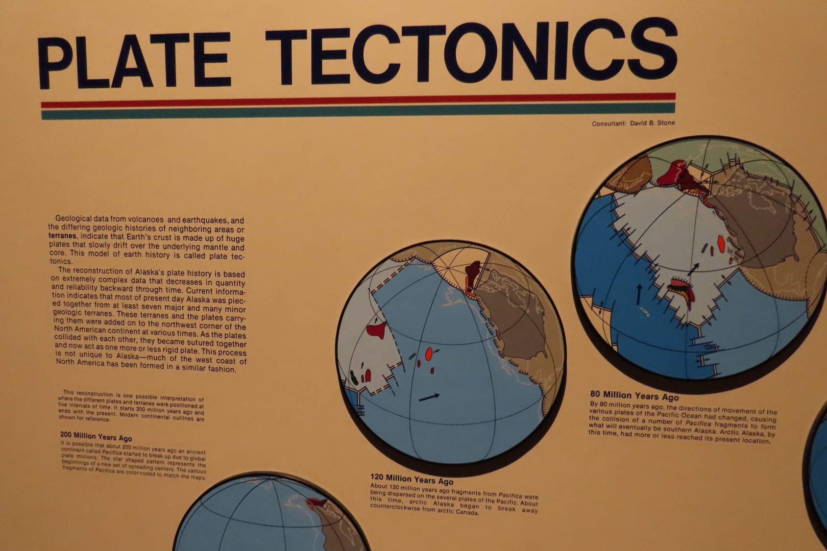 Museum of the North on Campus of University of Alaska Fairbanks, Alaska 83 of 100 (#8523)