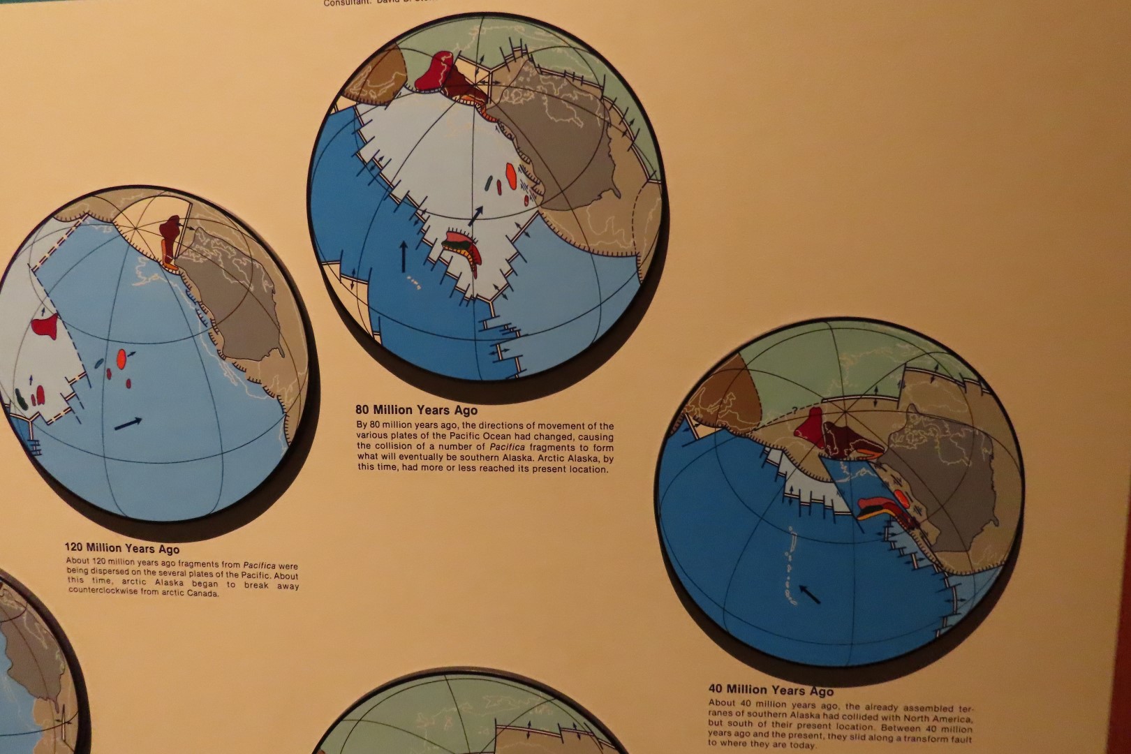 Museum of the North on Campus of University of Alaska Fairbanks, Alaska 85 of 100 (#8525)