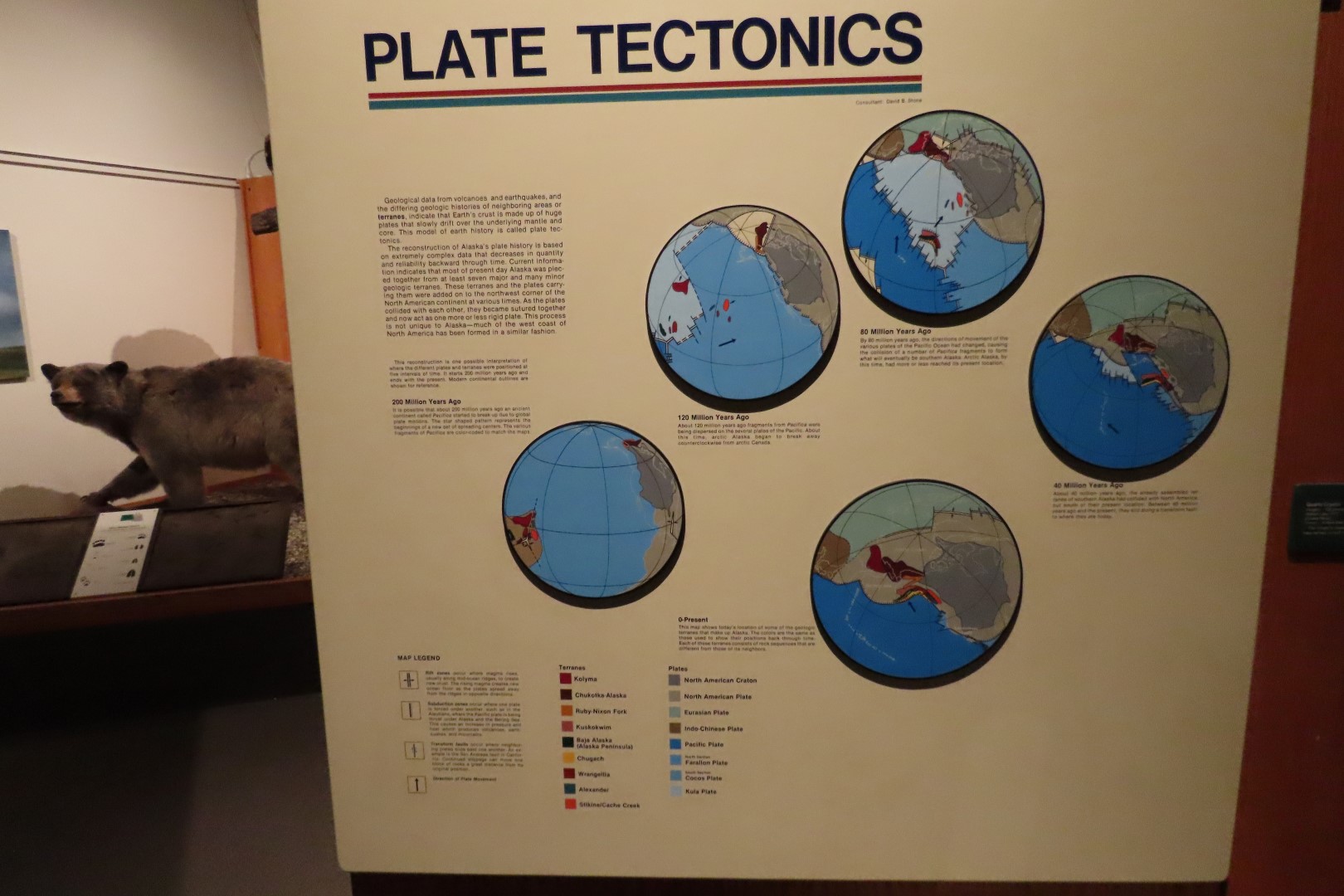 Museum of the North on Campus of University of Alaska Fairbanks, Alaska 86 of 100 (#8526)