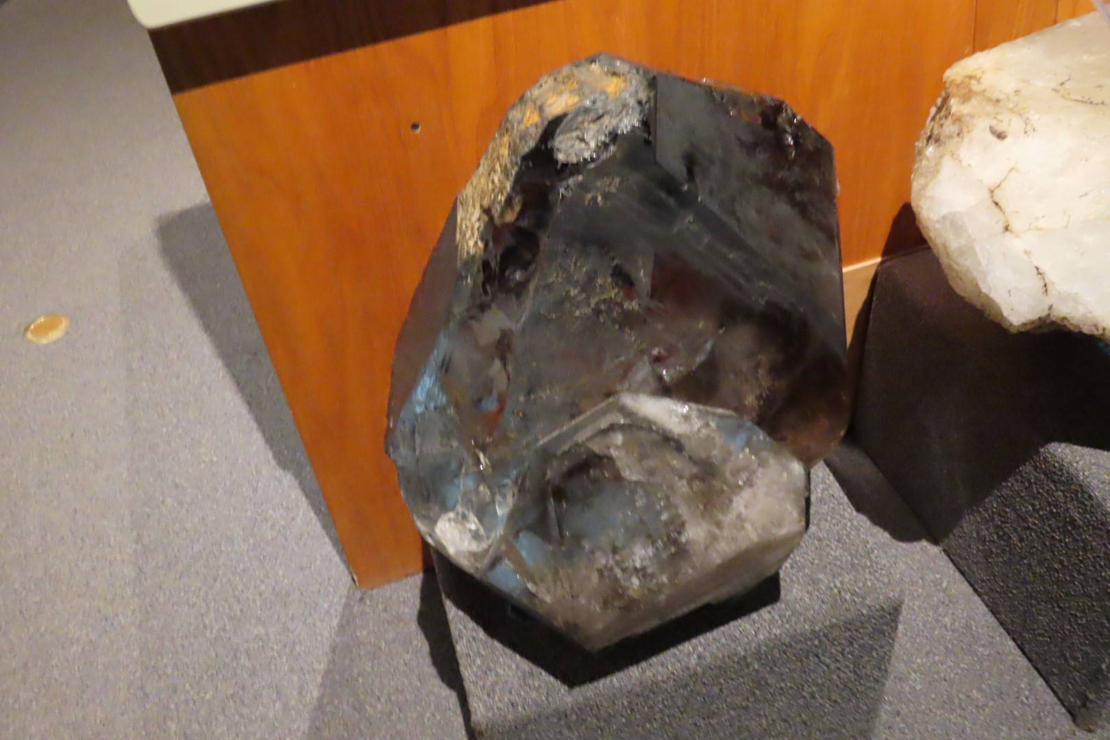 Museum of the North on Campus of University of Alaska Fairbanks, Alaska 87 of 100 (#8527)