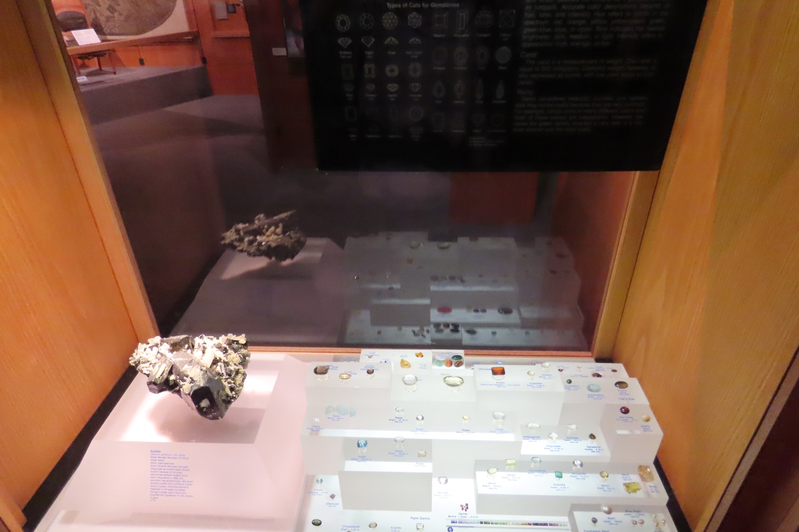 Museum of the North on Campus of University of Alaska Fairbanks, Alaska 88 of 100 (#8528)