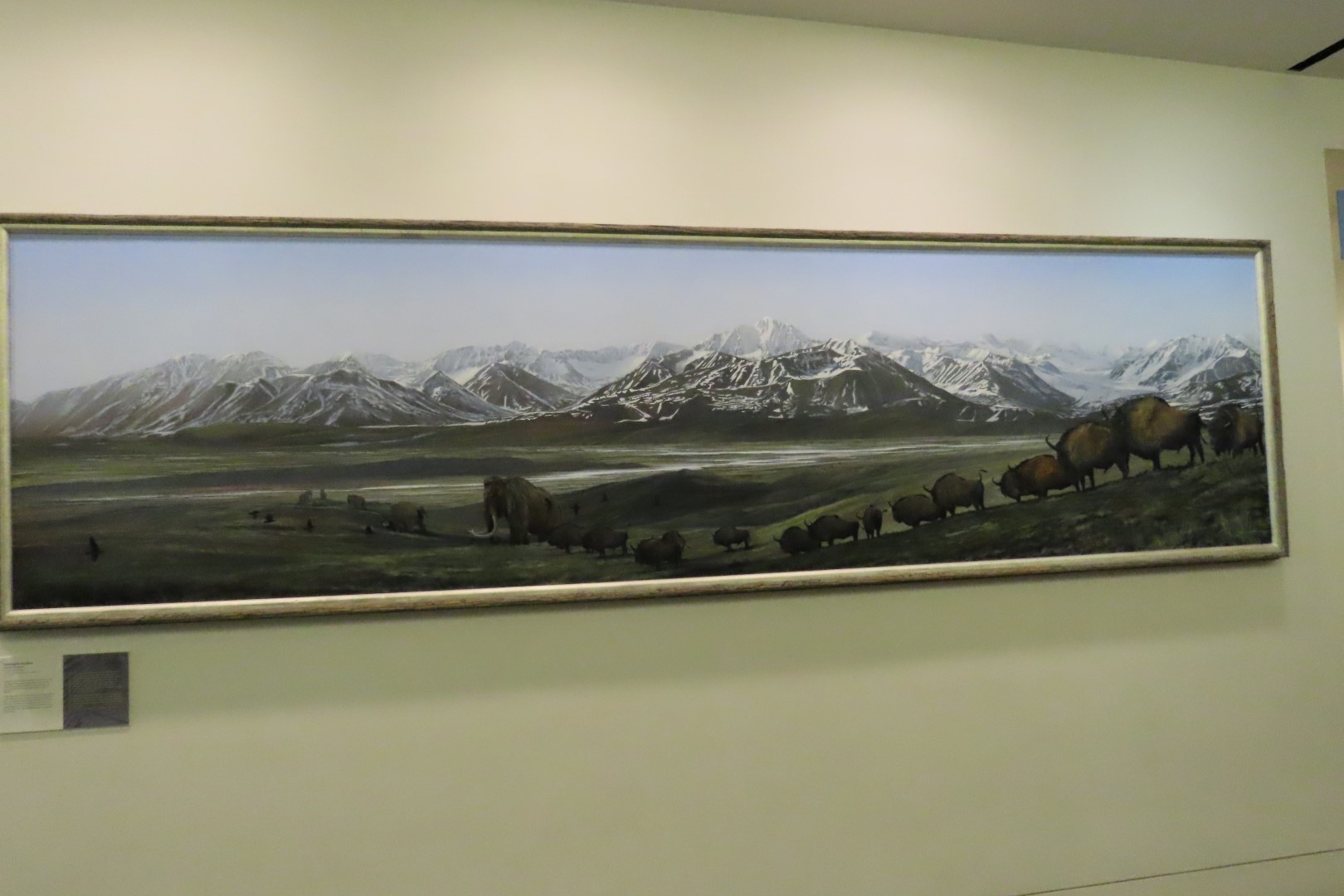 Museum of the North on Campus of University of Alaska Fairbanks, Alaska 97 of 100 (#8537)