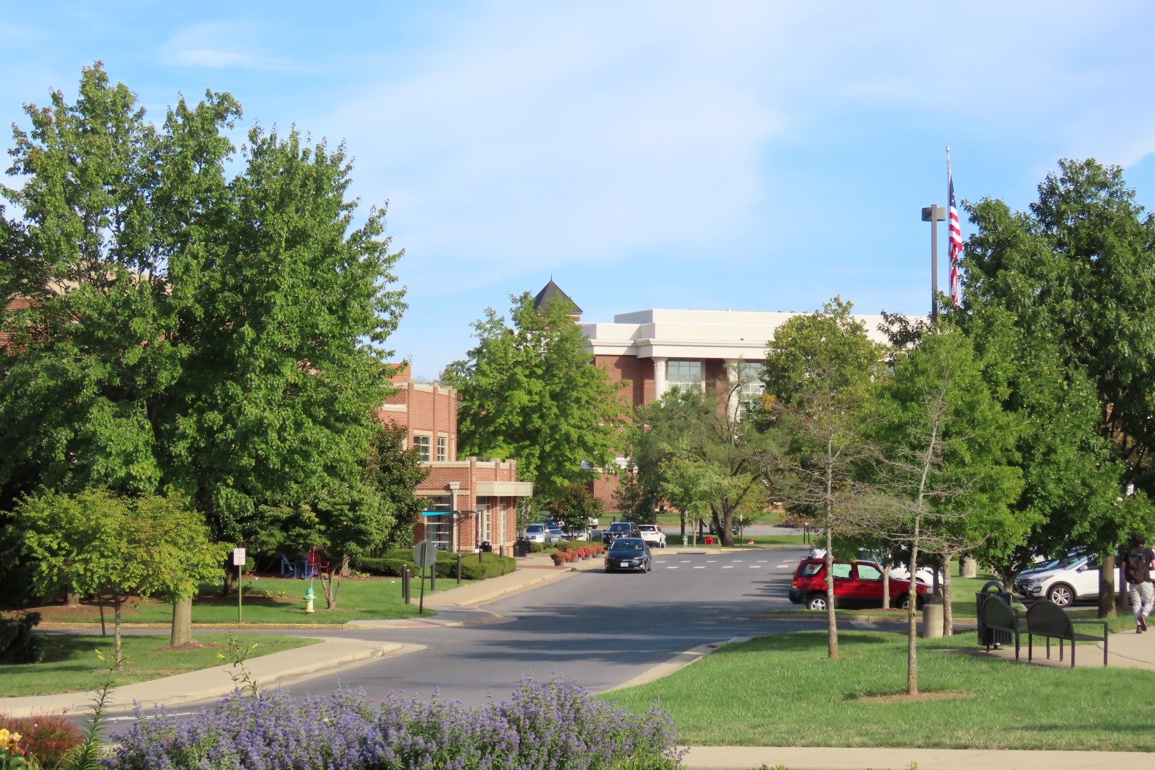 Shenandoah University  5 of  6 (#8609)