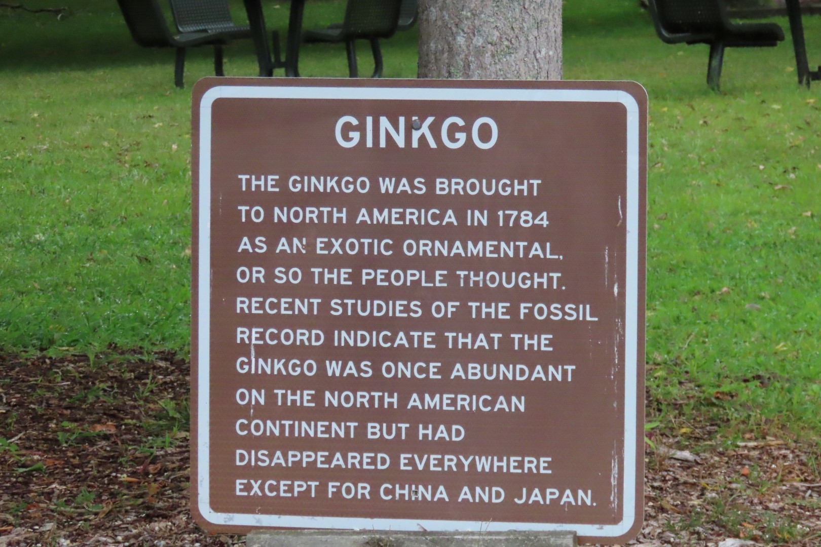 Great Egg Harbor Area  3 of  7 (#8652)