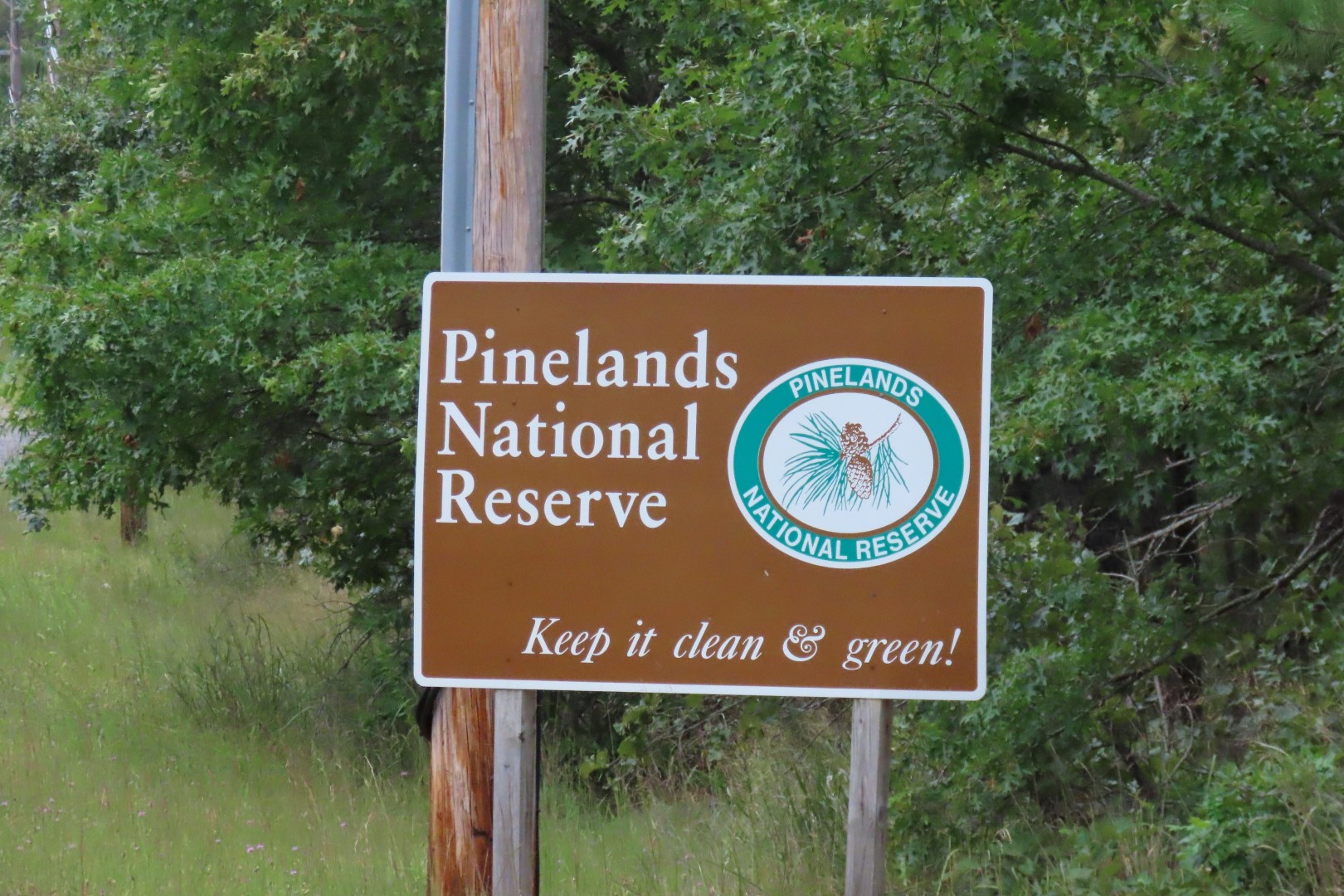 Pinelands Reserve NP  1 of 11 (#8658)