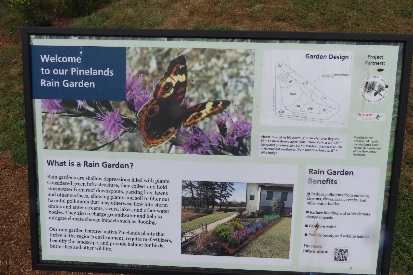 Pinelands Reserve NP  4 of 11 (#8662)