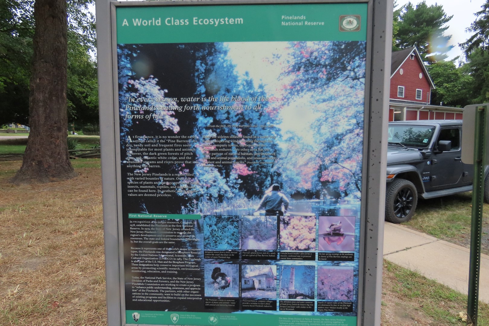 Pinelands Reserve NP  7 of 11 (#8665)