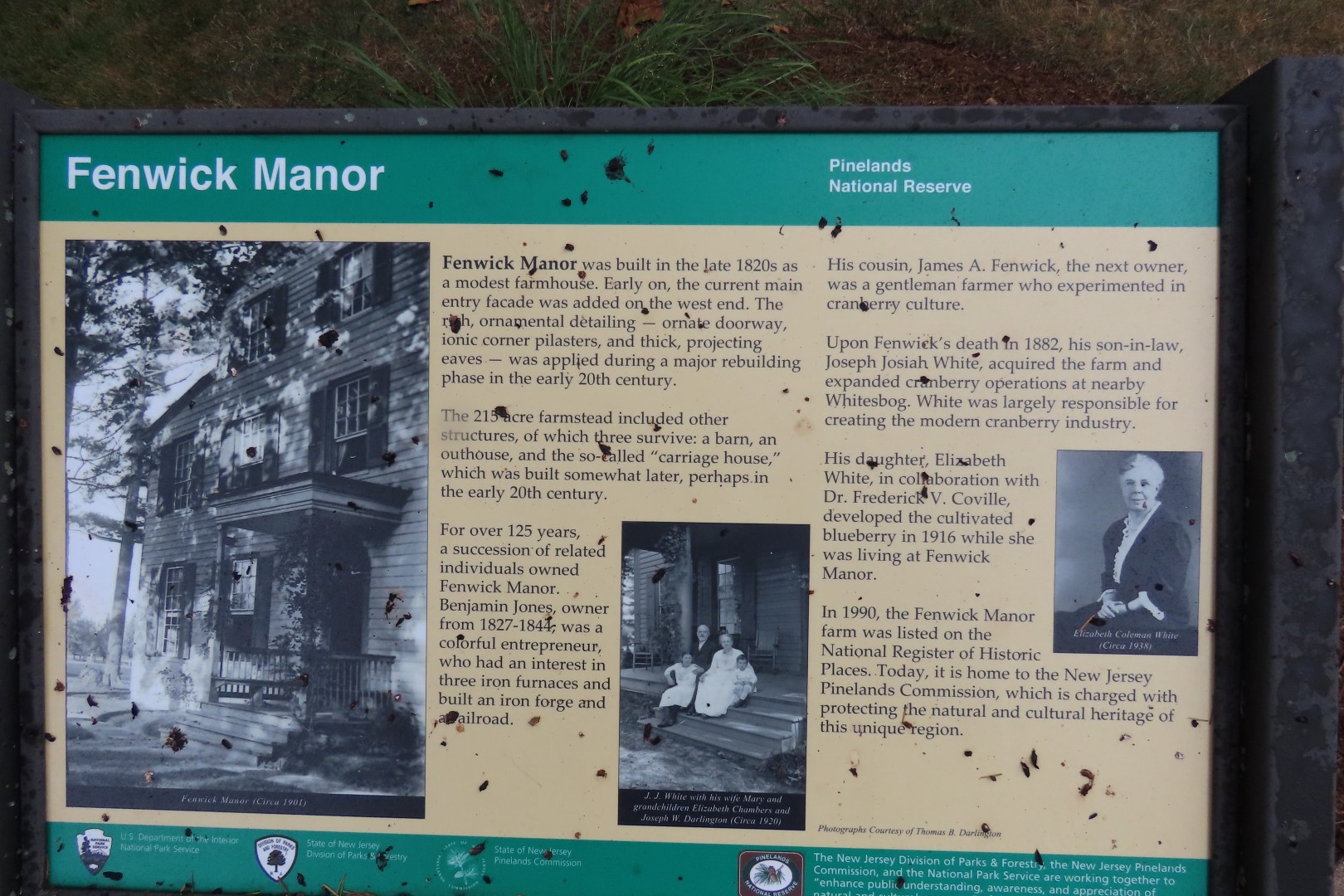 Pinelands Reserve NP  9 of 11 (#8667)